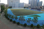 中国第一条蓝色塑胶跑道建设案例（2012年竣工）